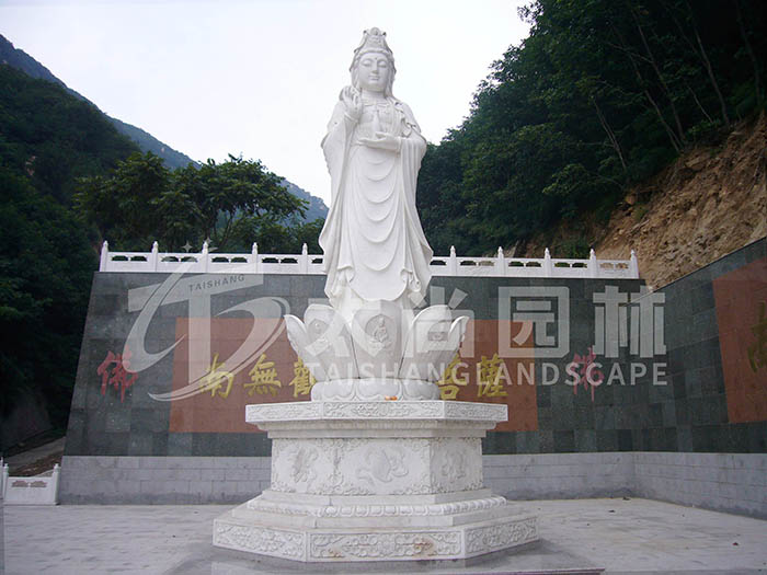 z6com������ʱ(�й���)�ٷ���վ